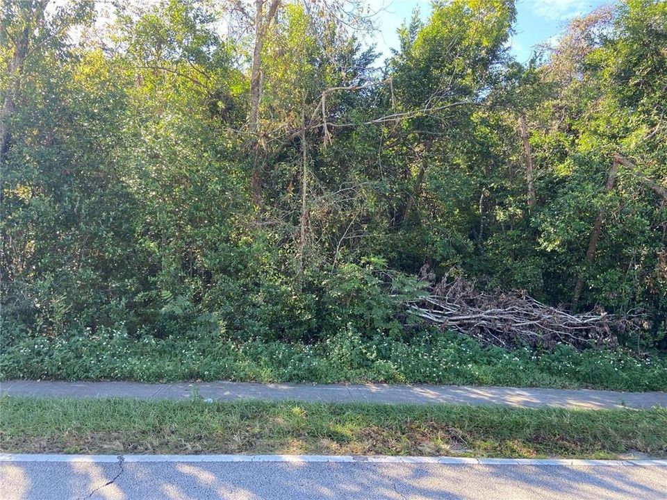 На продажу: $74,000 (0.23 acres)