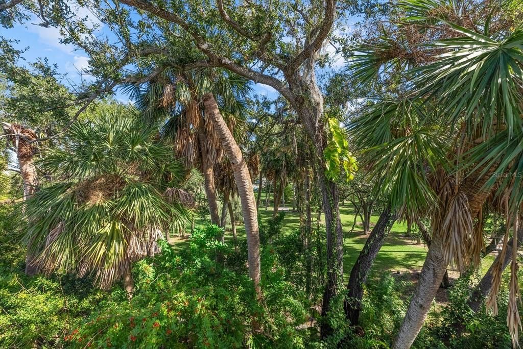 На продажу: $340,000 (3 спален, 2 ванн, 1572 Квадратных фут)