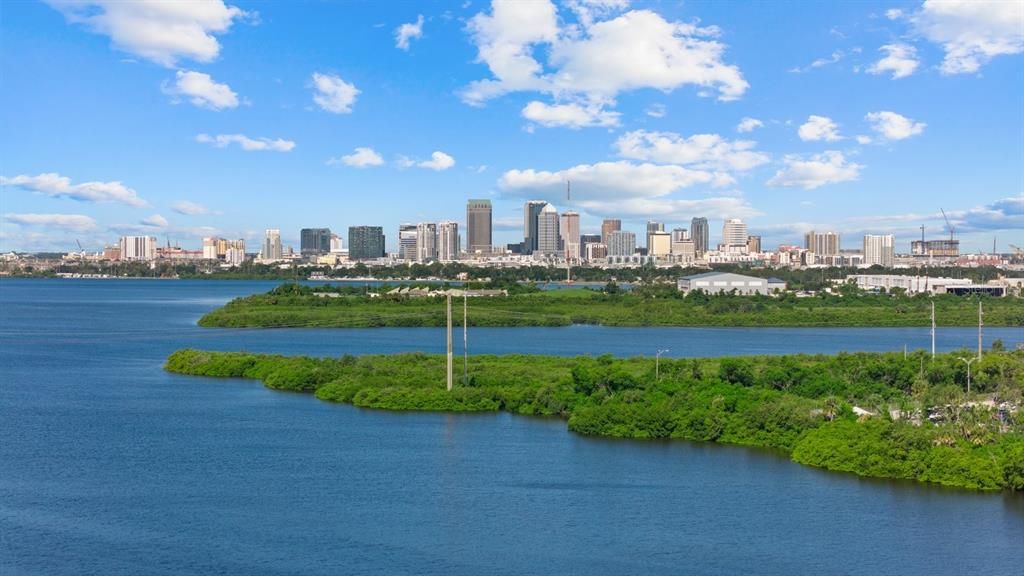 На продажу: $340,000 (3 спален, 2 ванн, 1572 Квадратных фут)