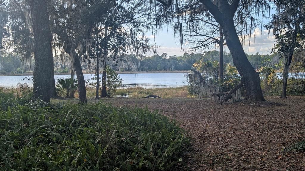 En Venta: $379,000 (3 camas, 1 baños, 1332 Pies cuadrados)