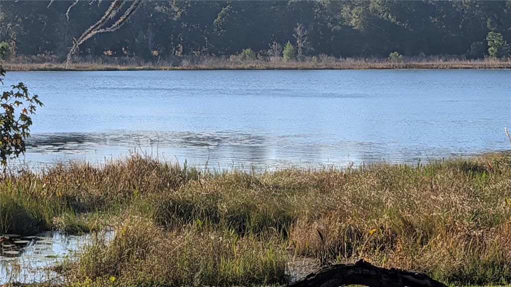 En Venta: $379,000 (3 camas, 1 baños, 1332 Pies cuadrados)