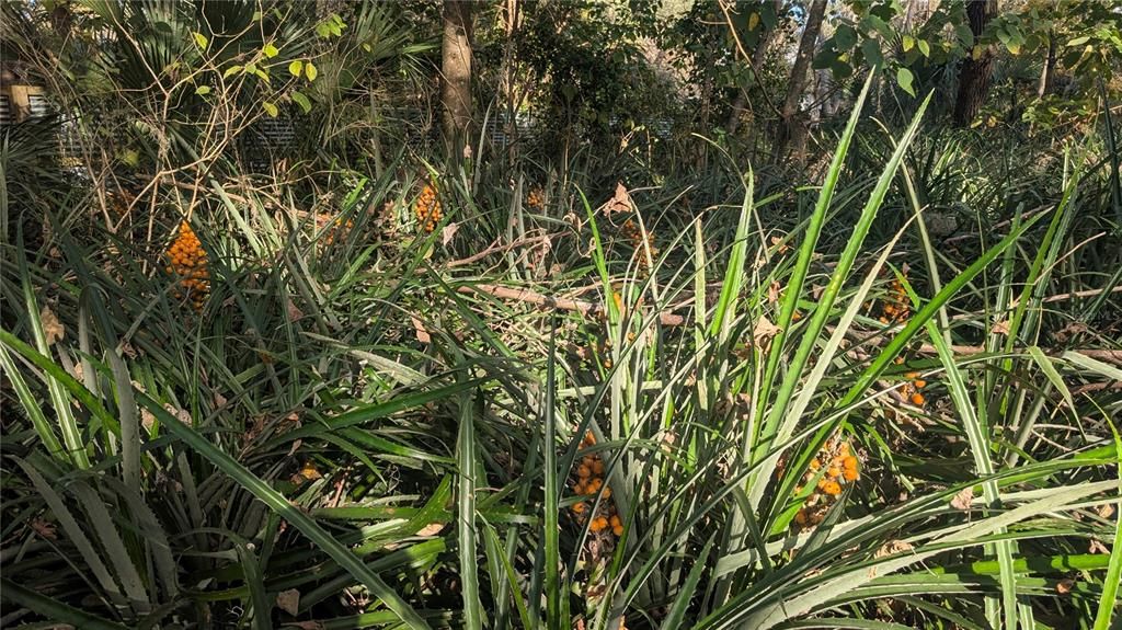 En Venta: $379,000 (3 camas, 1 baños, 1332 Pies cuadrados)