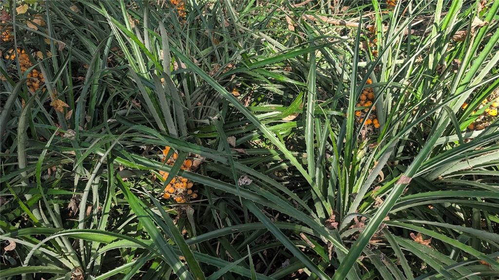 En Venta: $379,000 (3 camas, 1 baños, 1332 Pies cuadrados)