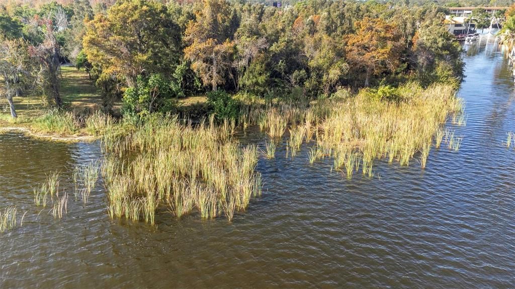 For Sale: $1,390,000 (2.89 acres)