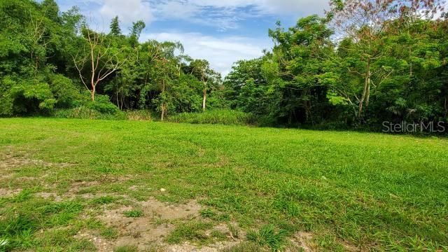 На продажу: $22,000,000 (18.00 acres)