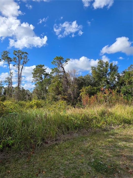 For Sale: $78,900 (0.85 acres)