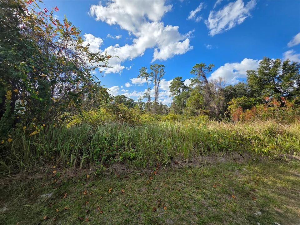 For Sale: $78,900 (0.85 acres)