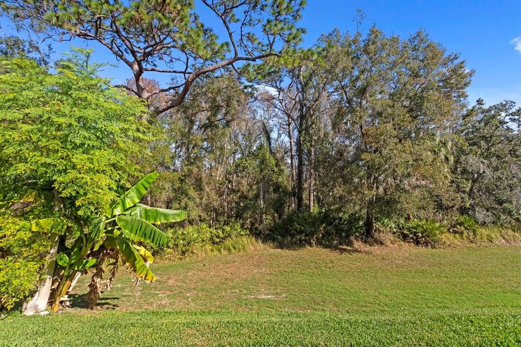 For Sale: $560,000 (4 beds, 3 baths, 2327 Square Feet)