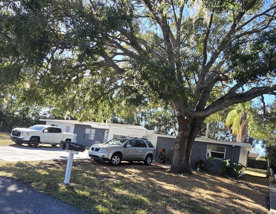 For Rent: $1,300 (1 beds, 1 baths, 500 Square Feet)