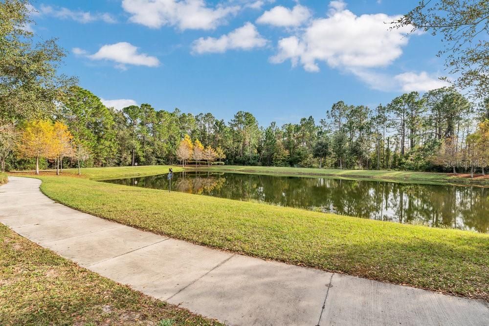 En Renta: $3,750 (5 camas, 4 baños, 3769 Pies cuadrados)