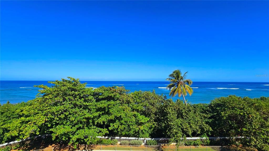 For Sale: $385,000 (3 beds, 2 baths, 1546 Square Feet)