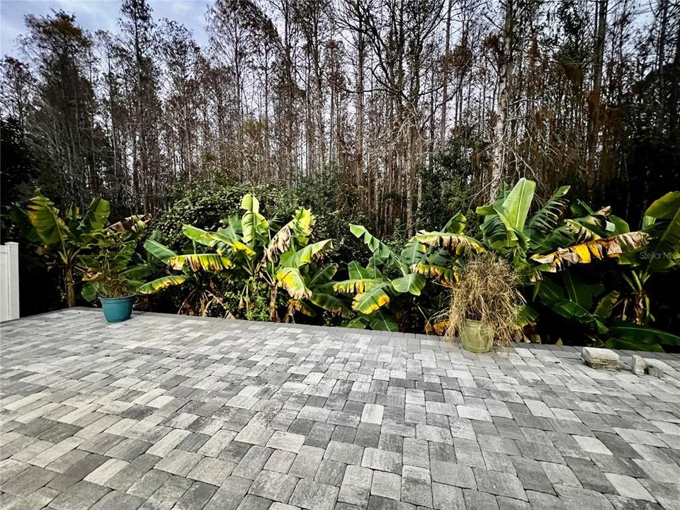 For Rent: $2,550 (3 beds, 2 baths, 1625 Square Feet)