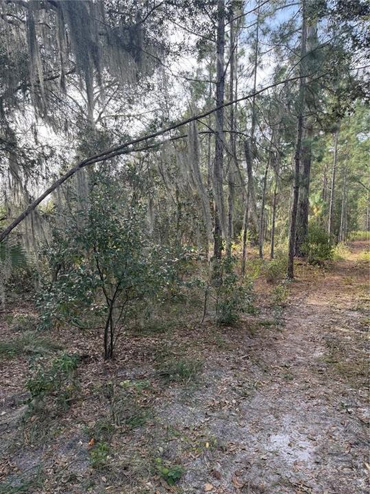 На продажу: $299,000 (35.17 acres)