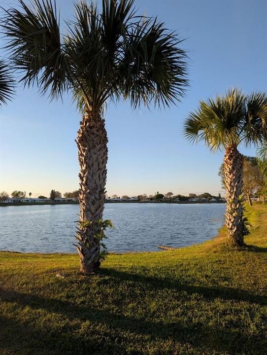 На продажу: $129,900 (2 спален, 2 ванн, 1135 Квадратных фут)