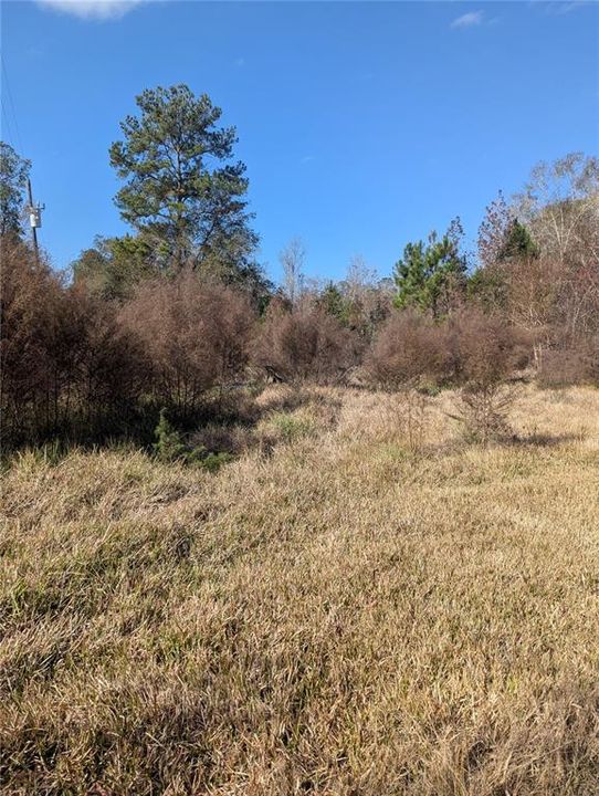 En Venta: $112,500 (10.70 acres)