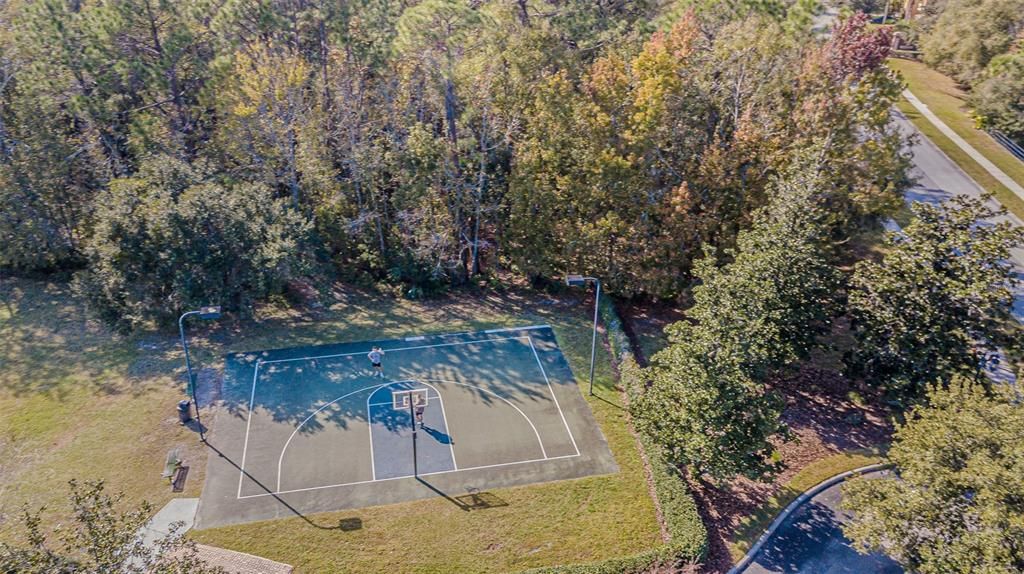 出租: $3,000 (4 贝兹, 2 浴室, 2367 平方英尺)