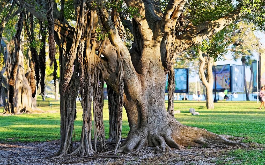 В аренду: $3,000 (2 спален, 2 ванн, 1260 Квадратных фут)