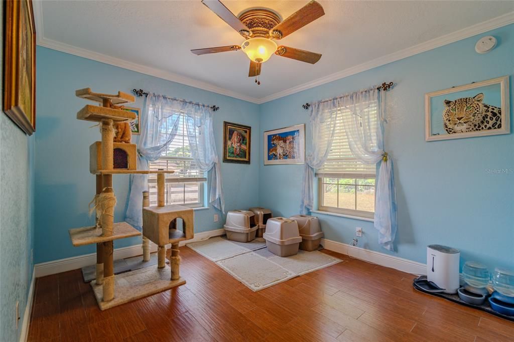 На продажу: $419,000 (3 спален, 2 ванн, 1594 Квадратных фут)