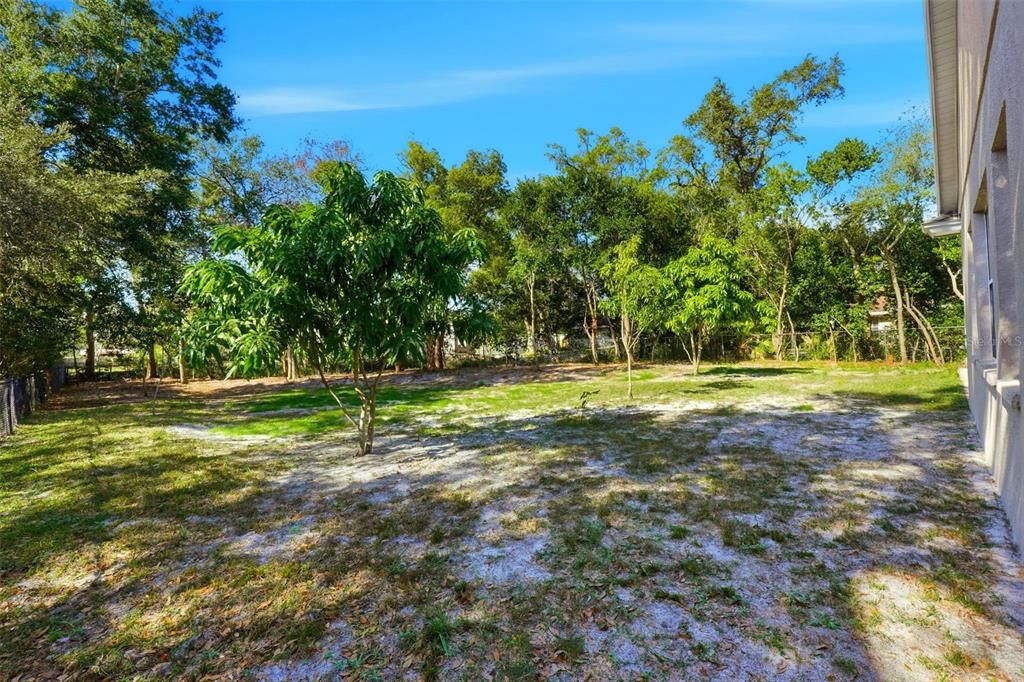 出租: $3,800 (3 贝兹, 3 浴室, 3125 平方英尺)