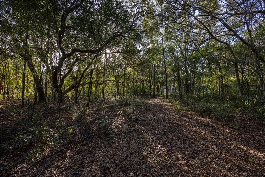 For Sale: $325,000 (3 beds, 2 baths, 1397 Square Feet)