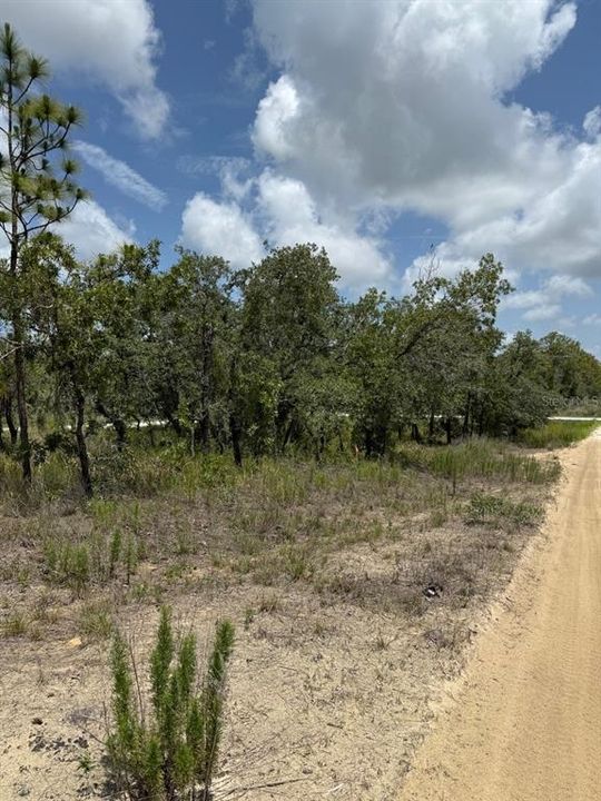 En Venta: $25,900 (0.49 acres)