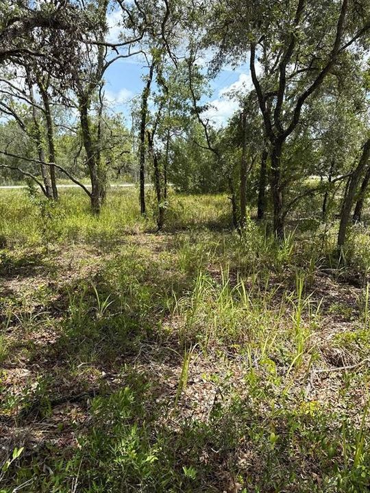 En Venta: $25,900 (0.49 acres)