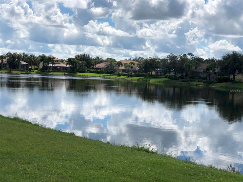 出租: $1,500 (2 贝兹, 2 浴室, 905 平方英尺)