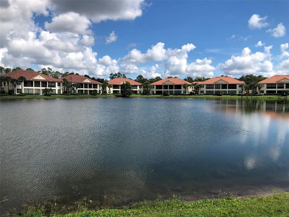 出租: $1,500 (2 贝兹, 2 浴室, 905 平方英尺)