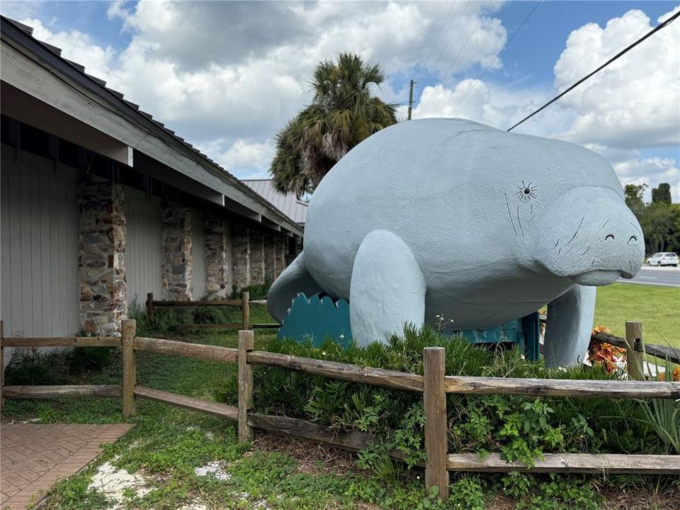 待售: $23,900 (0.27 acres)