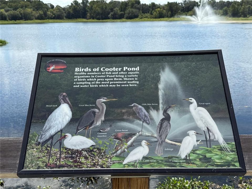 待售: $23,900 (0.27 acres)