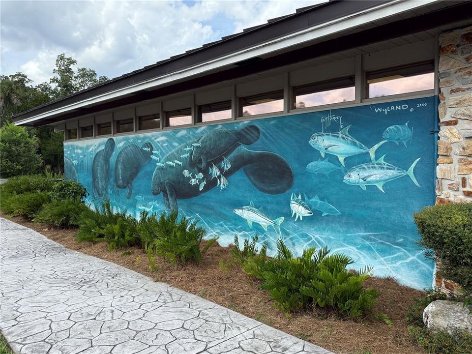 待售: $23,900 (0.27 acres)