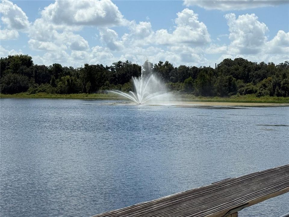 待售: $23,900 (0.27 acres)