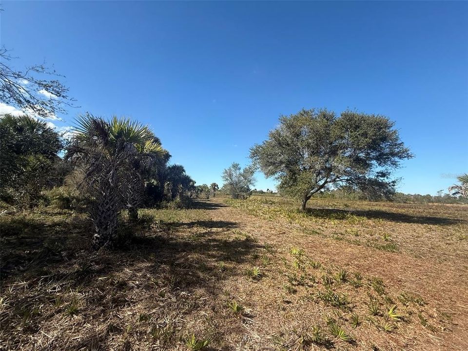 For Sale: $269,900 (10.00 acres)