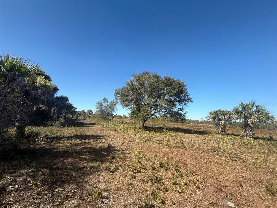 For Sale: $269,900 (10.00 acres)