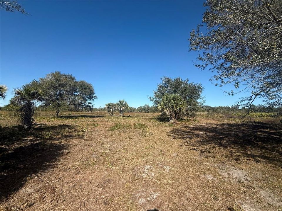 For Sale: $269,900 (10.00 acres)