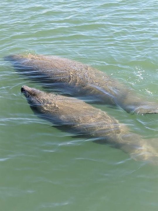 待售: $353,900 (2 贝兹, 2 浴室, 1252 平方英尺)