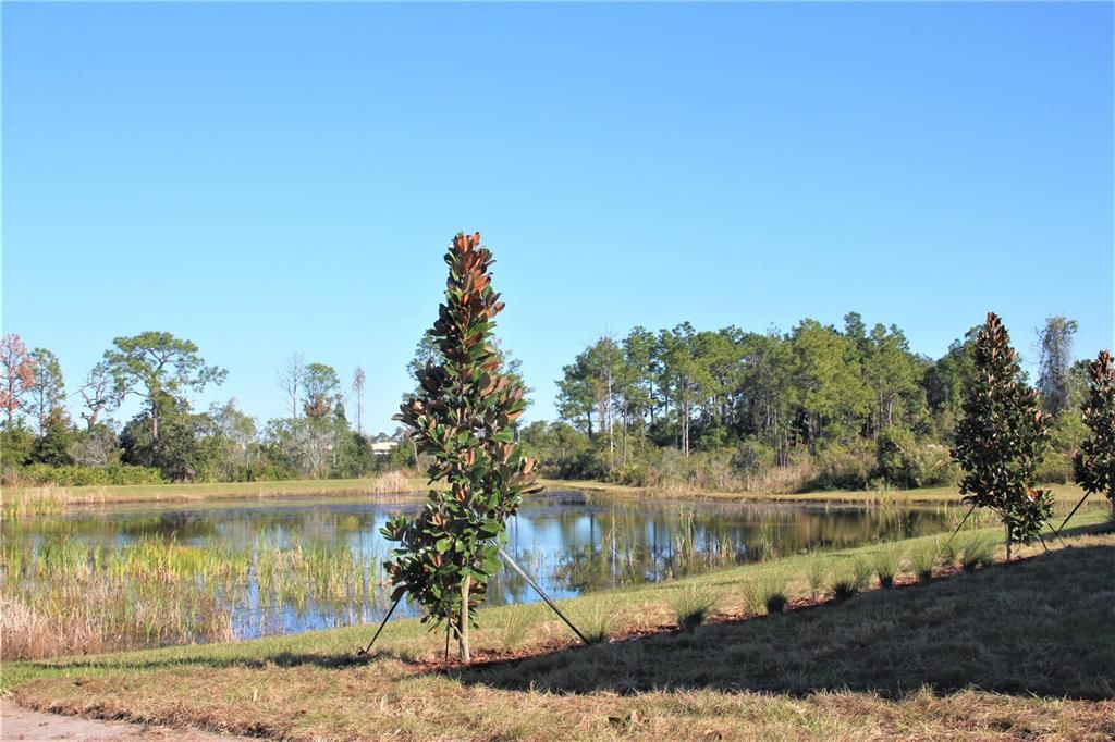 В аренду: $2,900 (4 спален, 3 ванн, 2065 Квадратных фут)