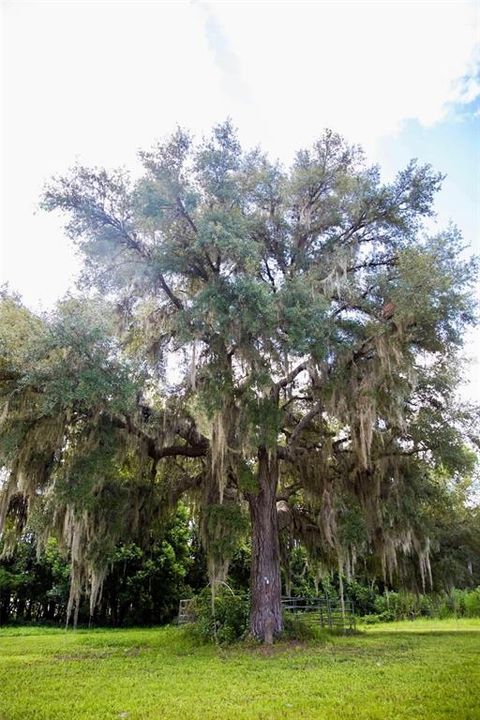 For Sale: $930,000 (3 beds, 2 baths, 1795 Square Feet)