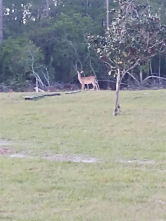For Sale: $930,000 (3 beds, 2 baths, 1795 Square Feet)