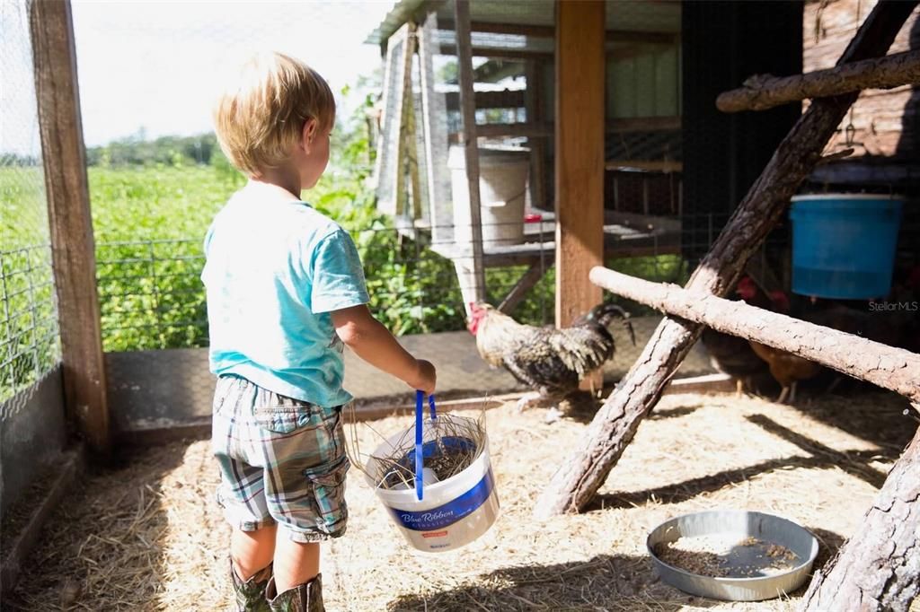 For Sale: $930,000 (3 beds, 2 baths, 1795 Square Feet)