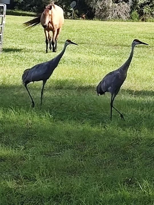 For Sale: $930,000 (3 beds, 2 baths, 1795 Square Feet)