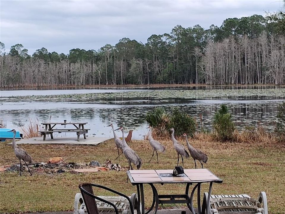 For Sale: $930,000 (3 beds, 2 baths, 1795 Square Feet)