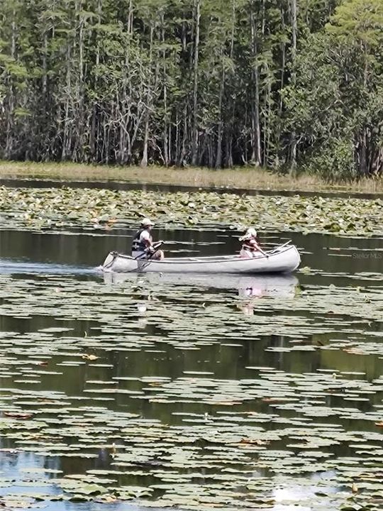 For Sale: $930,000 (3 beds, 2 baths, 1795 Square Feet)