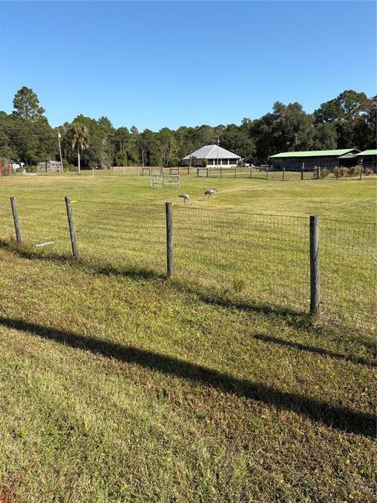 For Sale: $930,000 (3 beds, 2 baths, 1795 Square Feet)