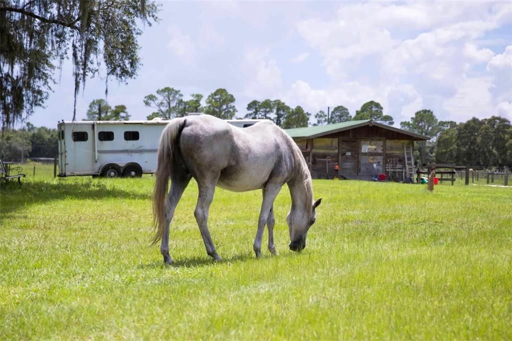 For Sale: $930,000 (3 beds, 2 baths, 1795 Square Feet)