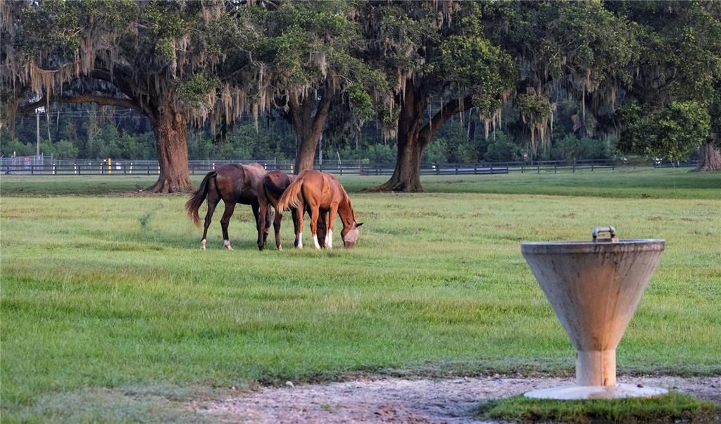 For Sale: $13,000,000 (13 beds, 13 baths, 8276 Square Feet)