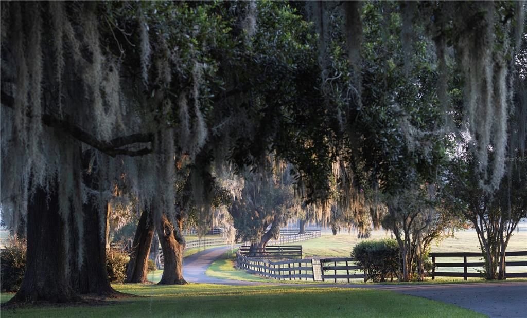 For Sale: $13,000,000 (13 beds, 13 baths, 8276 Square Feet)