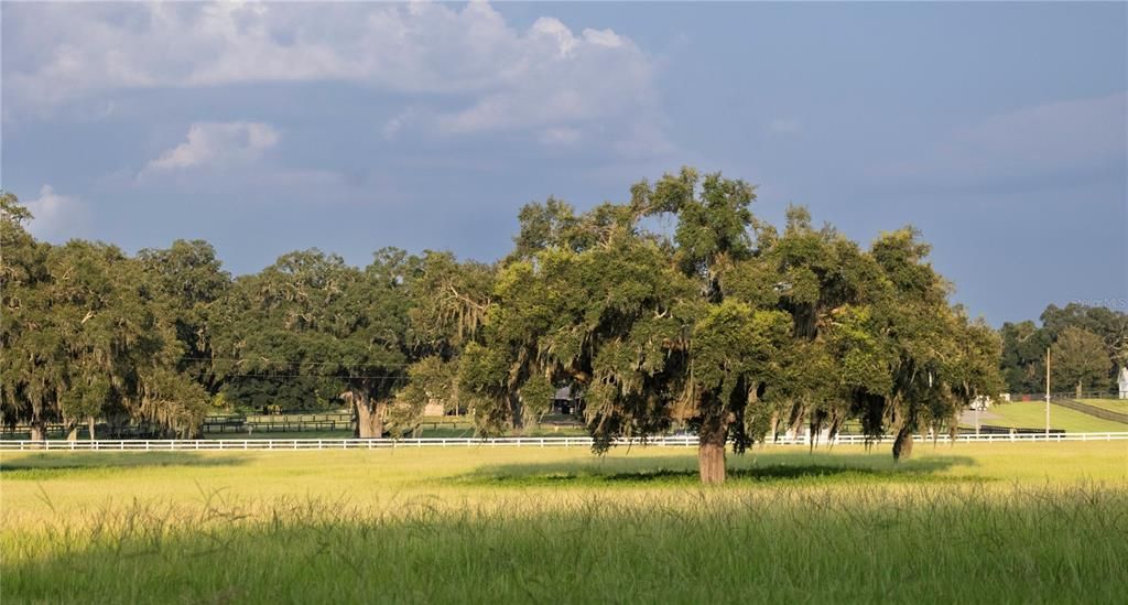 For Sale: $13,000,000 (13 beds, 13 baths, 8276 Square Feet)