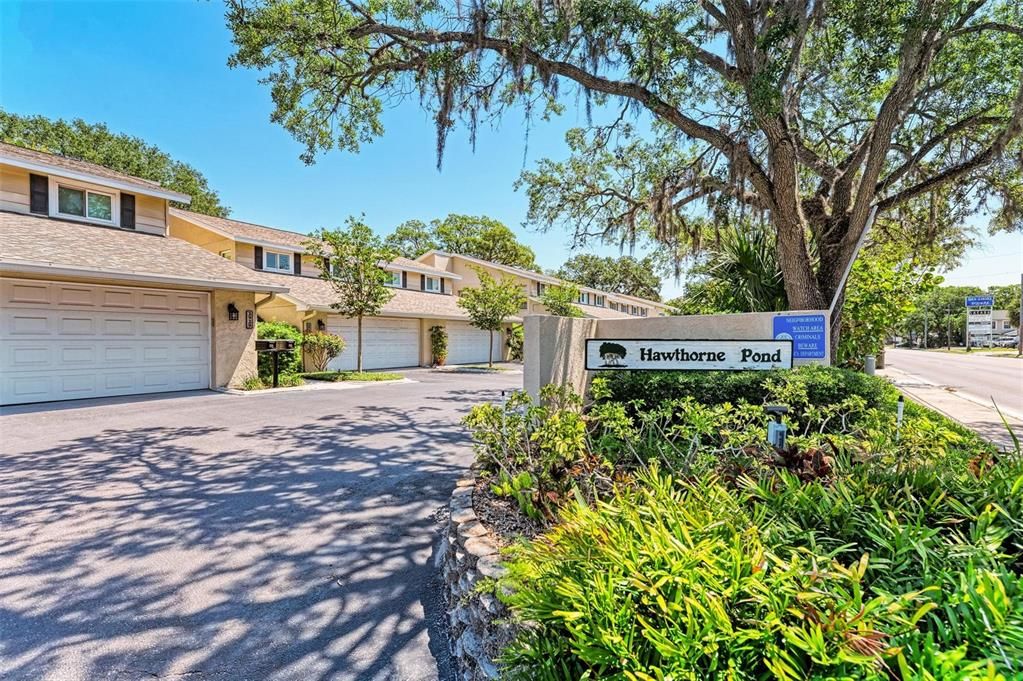 出租: $3,550 (3 贝兹, 2 浴室, 1833 平方英尺)