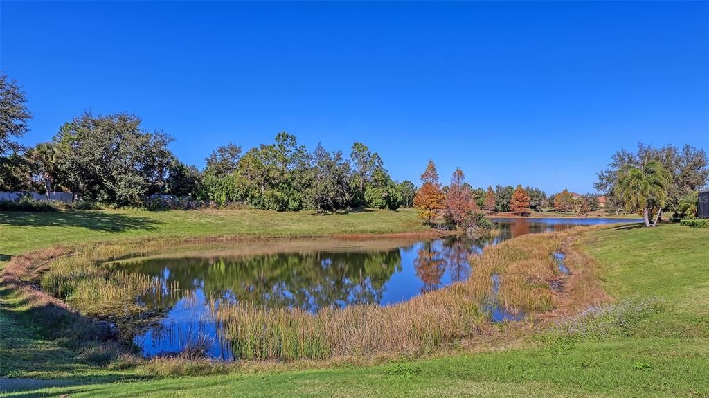 For Sale: $500,000 (2 beds, 2 baths, 1684 Square Feet)